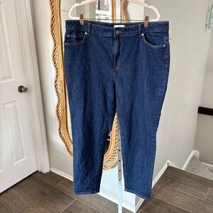 Urban Outfitters / BDG Dark Wash Mid Rise Skinny Jeans